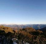 Elkhorn 7 - Holiday Sunshine Coast