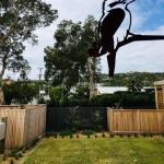 Willi Willi NSW Sunshine Coast Tourism