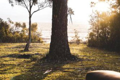 Seagrass On Sunset Bay - Holiday Sunshine Coast 1
