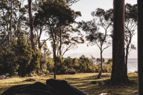 Seagrass On Sunset Bay - Holiday Sunshine Coast 2