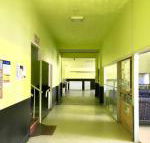 Bigfoot backpackers - Sunshine Coast Tourism