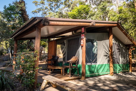 Binna Burra Rainforest Campsite - Holiday Sunshine Coast 5