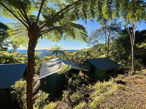 Binna Burra Rainforest Campsite - Holiday Sunshine Coast 0