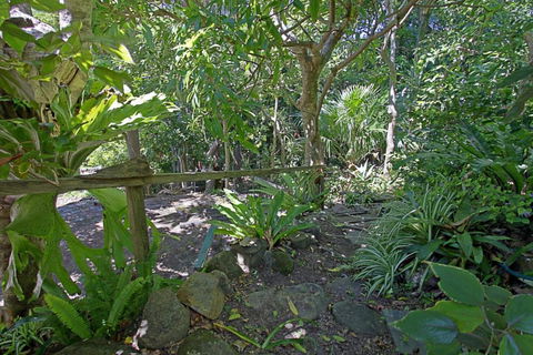 WategosRent - Sunshine Coast Tourism 5