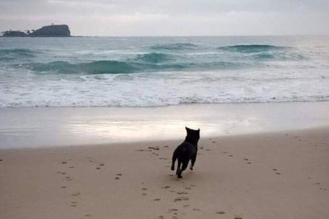 Breakers At Mudjimba Beach - Sunshine Coast Tourism 0
