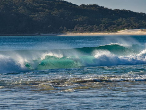 Hit The Beach - Holiday Sunshine Coast 4