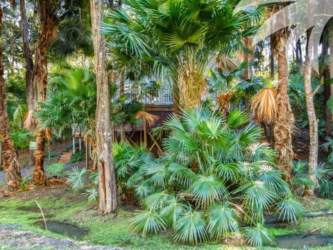 Araluen - Holiday Sunshine Coast 6