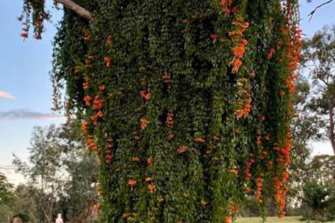 Amarina Farm Stay & Gardens - Holiday Sunshine Coast 6