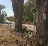 COONARR BEACH  BUNDABERG CAMPING - Sunshine Coast Tourism