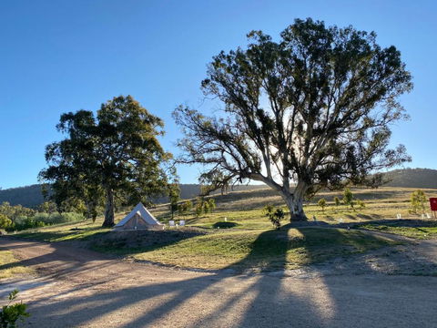 Mansfield Glamping - Sunshine Coast Tourism 3