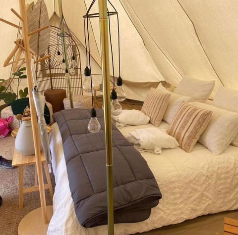 Mansfield Glamping - Sunshine Coast Tourism 4
