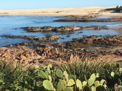 Cromarty Cottage 900m From Birubi Beach - Sunshine Coast Tourism 4