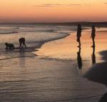 Cromarty Cottage 900m from Birubi Beach