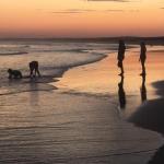 Cromarty Cottage 900m From Birubi Beach - Sunshine Coast Tourism 0