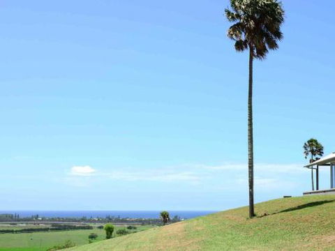 ROSE VALLEY Gerringong 4pm Check Out Sundays - Sunshine Coast Tourism 0