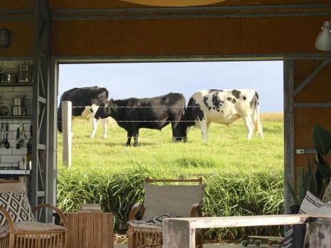 THE SHED Gerroa 4pm Checkout On Sundays & Public Holidays - Holiday Sunshine Coast 6