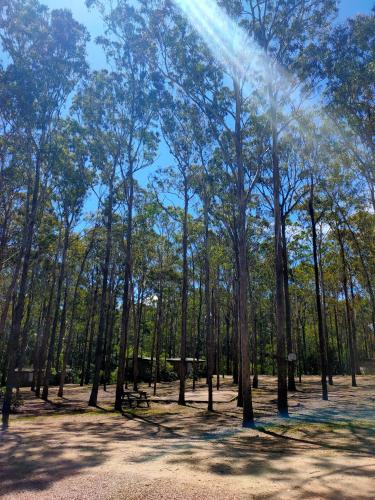 Lakes Entrance Log Cabins - Holiday Sunshine Coast 1