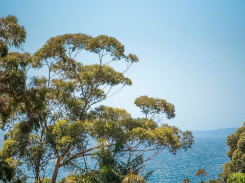 Sea Salt NARRAWALLEE - Sunshine Coast Tourism 6