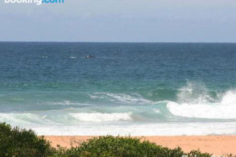 Beachfront Delight 14b Bareena Avenue - Holiday Sunshine Coast 1