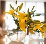KUI Manhattan Apartments - Sunshine Coast Tourism
