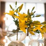 KUI Manhattan Apartments - Holiday Sunshine Coast 0