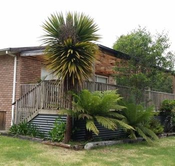 Strahan Holidays - Sunshine Coast Tourism 4