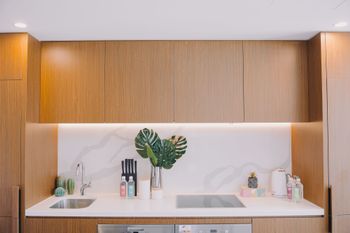 SSP At Parque 4 - Sunshine Coast Tourism 4