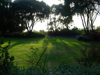 Oceanside Retreat Busselton - Holiday Sunshine Coast 2