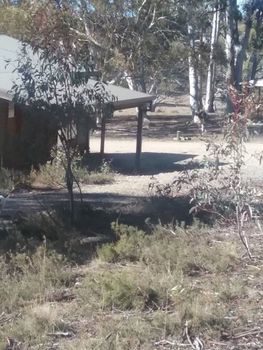 Gooandra Alpine Cabins - Holiday Sunshine Coast 1