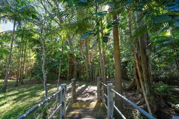 Paperbark - Sunshine Coast Tourism 1