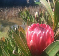 Creswick Cabin Retreat - Sunshine Coast Tourism