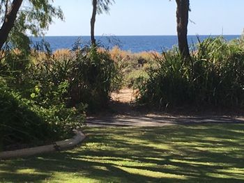 On The Shores Of Geographe Bay - Sunshine Coast Tourism 5