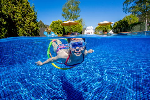 Discovery Parks - Bright - Sunshine Coast Tourism 3
