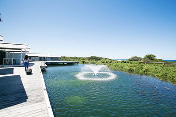Caves Beachside Hotel - Sunshine Coast Tourism 6