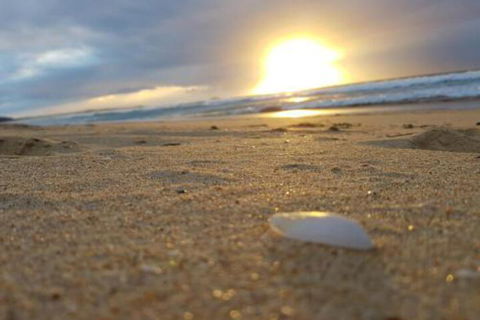 Eagles Loft - Holiday Sunshine Coast 6