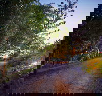 Dayboro Cottages  Llama Walks - Holiday Sunshine Coast