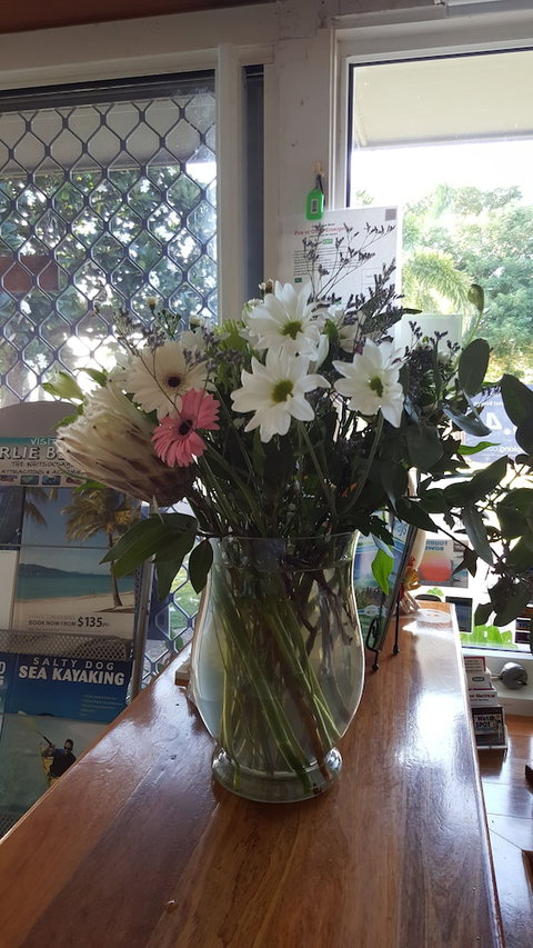 Ocean View Motel Bowen - Sunshine Coast Tourism 4