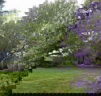 Petersons Armidale Winery  Guesthouse - Holiday Sunshine Coast