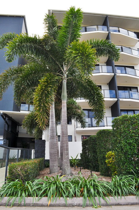 The Bay - Holiday Sunshine Coast 2