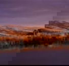 Wombat Hills Cottages - Holiday Sunshine Coast