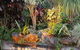Artisan Spa Views - thumb 4