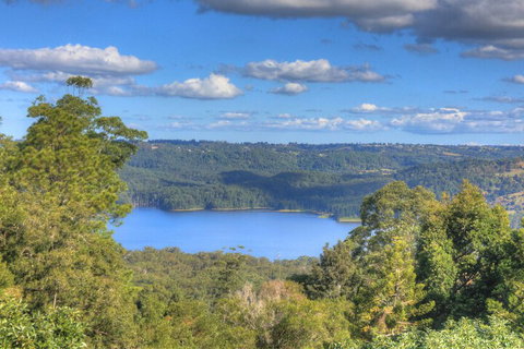 Montville Misty View Cottages - Sunshine Coast Tourism 1