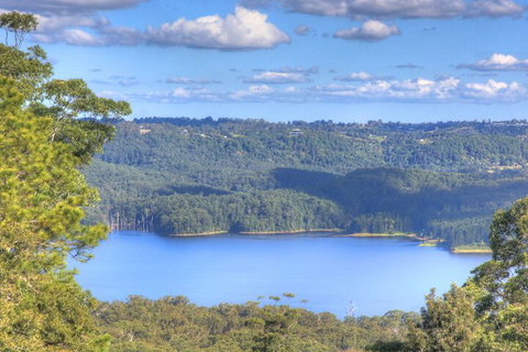 Montville Misty View Cottages - Sunshine Coast Tourism 3