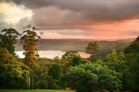 Montville Misty View Cottages - Sunshine Coast Tourism 0