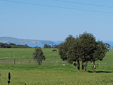 Dees Villa Bed & Breakfast - Sunshine Coast Tourism 4