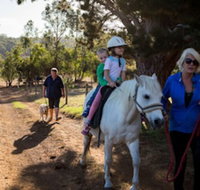 Misty Valley Country Cottages - Sunshine Coast Tourism