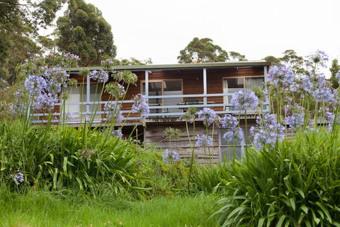 Bombina Cottages - Sunshine Coast Tourism 0