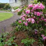  Sunshine Coast Tourism