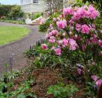 Anabels of Scottsdale - Sunshine Coast Tourism