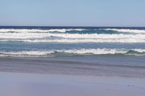 Bicheno S Ocean View Retreat - Sunshine Coast Tourism 4